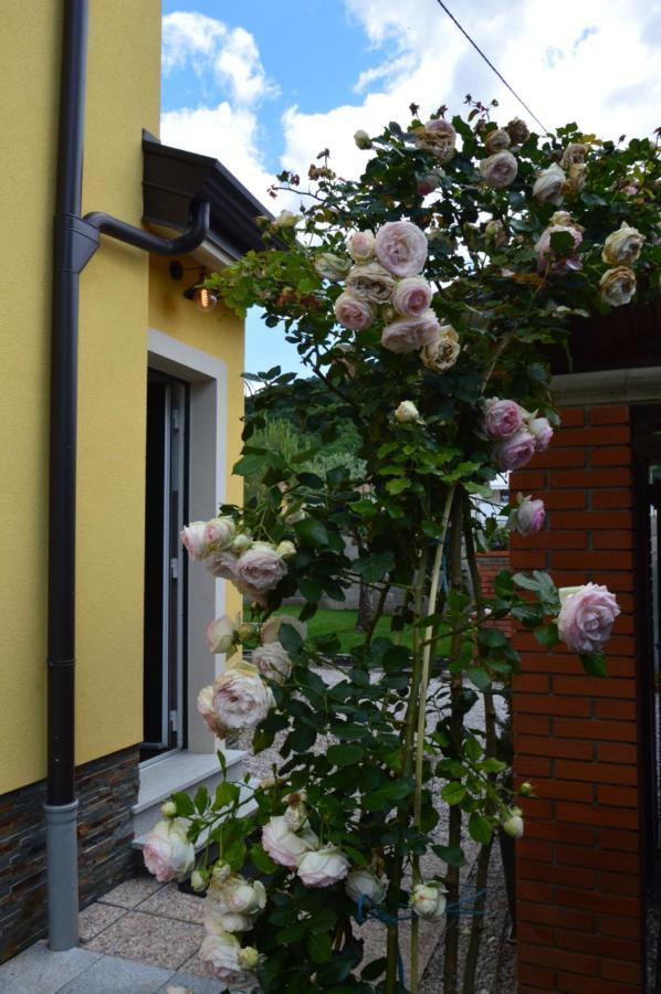 Apartment Kancler Nova Gorica Dış mekan fotoğraf